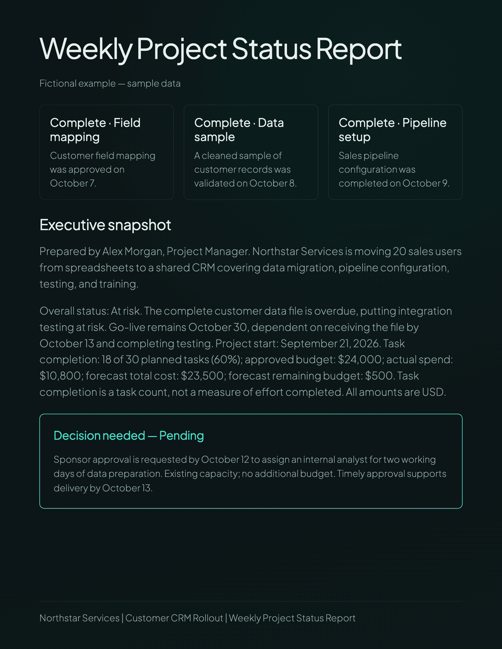 Project Status Report Template document preview